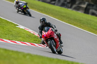 Oulton-Park-21st-March-2020;PJ-Motorsport-Photography-2020;anglesey;brands-hatch;cadwell-park;croft;donington-park;enduro-digital-images;event-digital-images;eventdigitalimages;mallory;no-limits;oulton-park;peter-wileman-photography;racing-digital-images;silverstone;snetterton;trackday-digital-images;trackday-photos;vmcc-banbury-run;welsh-2-day-enduro